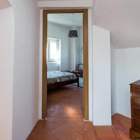 Lux Dinastia Lisbon